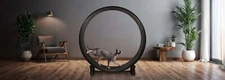 One Fast Cat Exercise Wheel - Gen 7 - 48" Diameter - Made in the US