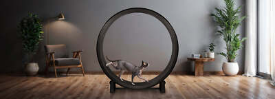 One Fast Cat Exercise Wheel - Gen 7 - 48'' Diameter - Made in the US