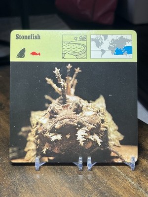Stonefish, 1976 Editions Recontre 4 3/4'' x 4 3/4'' Card