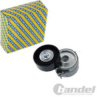 SNR Spannrolle Keilrippenriemen Passend FüR CitroËN Berlingo C5 C8 Evasion