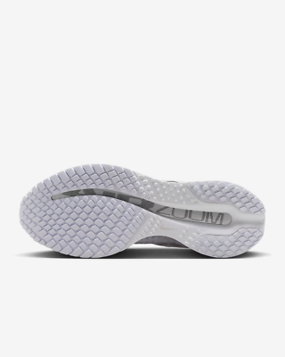 HQ2593-102 Nike Pegasus Premium White Metallic Silver Metallic
