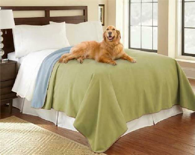 Amazon.com : 100% Waterproof Mambe Pet Blanket (Large ...