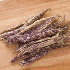 CZ Grain Dragons Tounge Bean Seeds for Planting (20 Seeds)