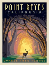 Pointe Reyes California Travel Poster Print  Reproduction Giclee Print 11x17