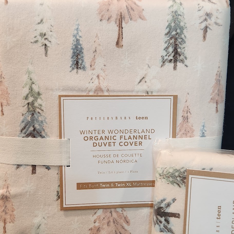 Pottery Barn Teen WINTER WONDERLAND Set Twin Duvet Cover and Standard Sham NIP