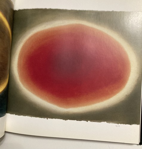 Rita Blitt Signed The Passionate Gesture First Edition Ltd Ed 5000 - Picture 10 of 12