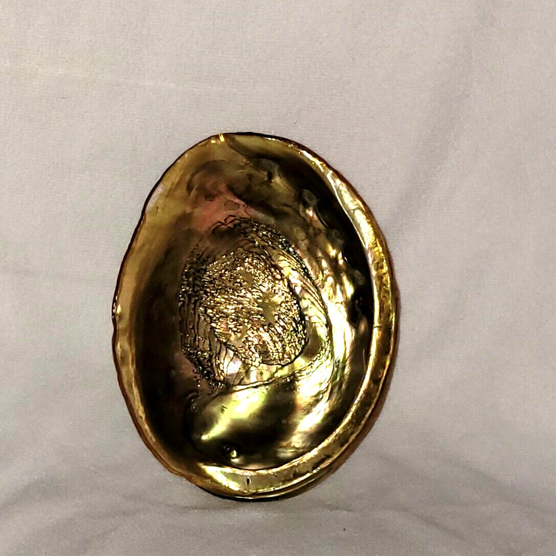 MCM  Red Abalone Ashtray Seashell Trinket Bowl Amber Lucite Tripod Feet 1960-70