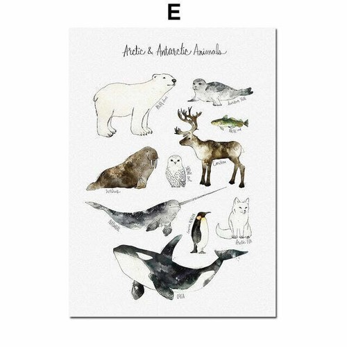 Dinosaur Lion Fox Deer Animal Wall Art - Picture 7 of 17