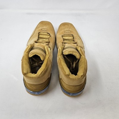 Nike Lebron Air Zoom Generation 