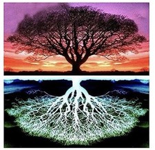 W1319 Diamond Painting Kits Tree with Roots