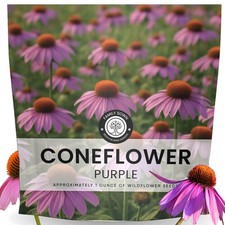 Purple Coneflower – 7,000 Seeds for Planting – 2026 Season – 1 Ounce Pouch 309.76 per gallon