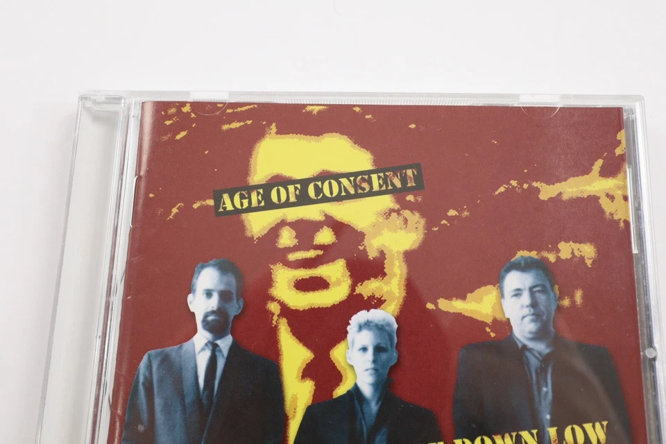 VTG AGE OF CONSENT Old School On The Down Low 1981-1985 CD Early Hip Hop Rap Foto 2 de 4