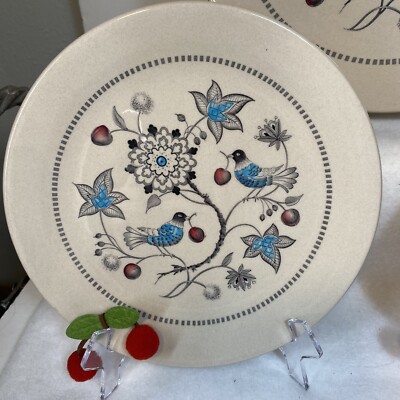 Set Of 2 Johnson Bros Staffordshire Cherry Thieves 8 In. Salad Plates Cherries