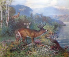 Old Vintage 1940s K. Noble Woodland Inhabitants Deer Forest Print 12x10