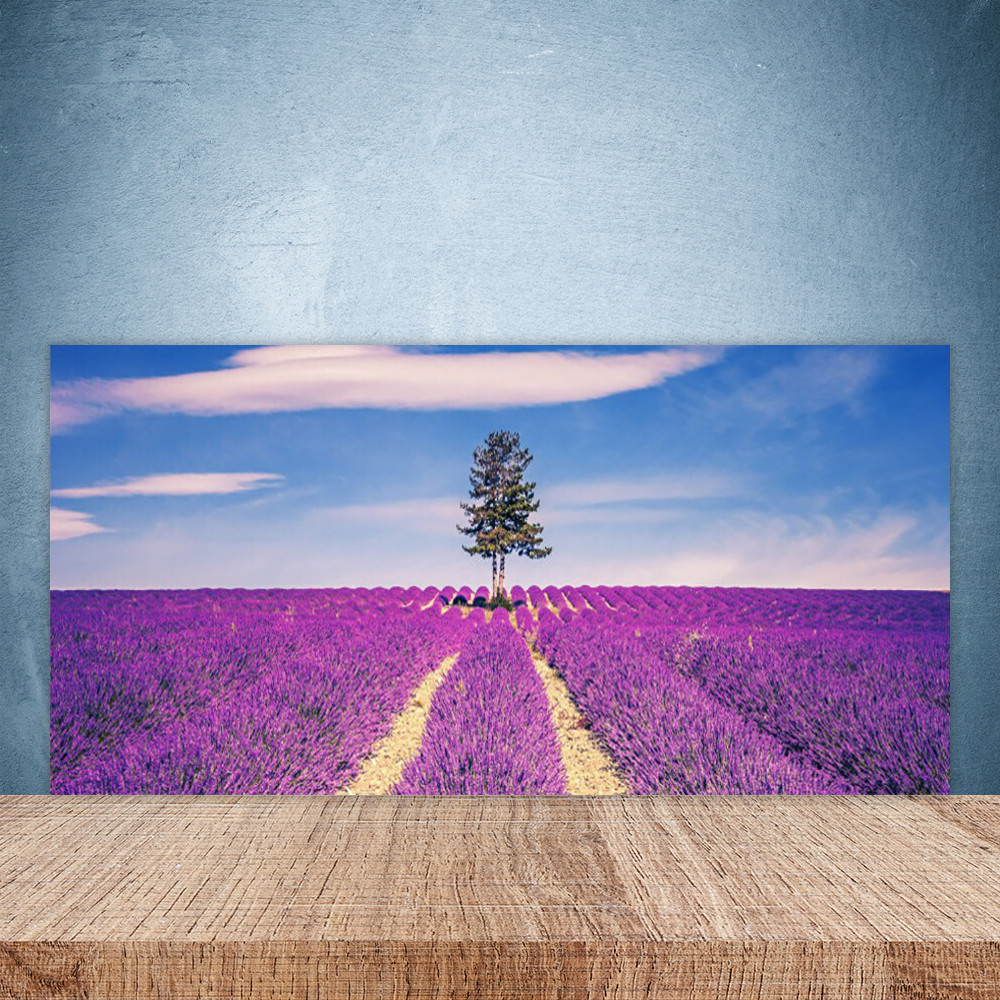 Crédence de cuisine en verre fond de hotte 100x50cm panneau de protection murale paysage