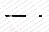 Lesjöfors Gasfeder Motorhaube 8075703 FüR Rover 75 RJ MG ZT 16V 160 180 190 Cdti