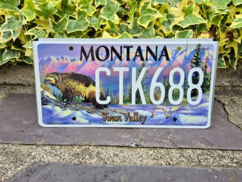 Plaque d'immatriculation Montana CTK688 USA US License Plate - Swan Valley - 第 1/1 張圖片