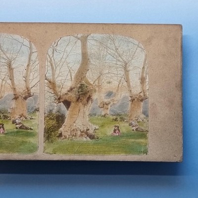 Burnham Stereoview C1855 Real Photo Buckinghamshire Hand Tinted People Beeches
