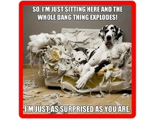 Funny Dog Great Dane Refrigerator Tool Box Magnet Gift Card Idea