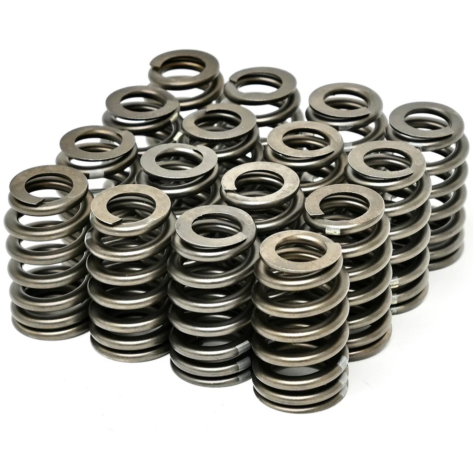 Texas Speed 4.8 5.3L Chopacabra Camshaft Kit with Lifters & Head Gaskets TSP Cam - Bild 3 von 4