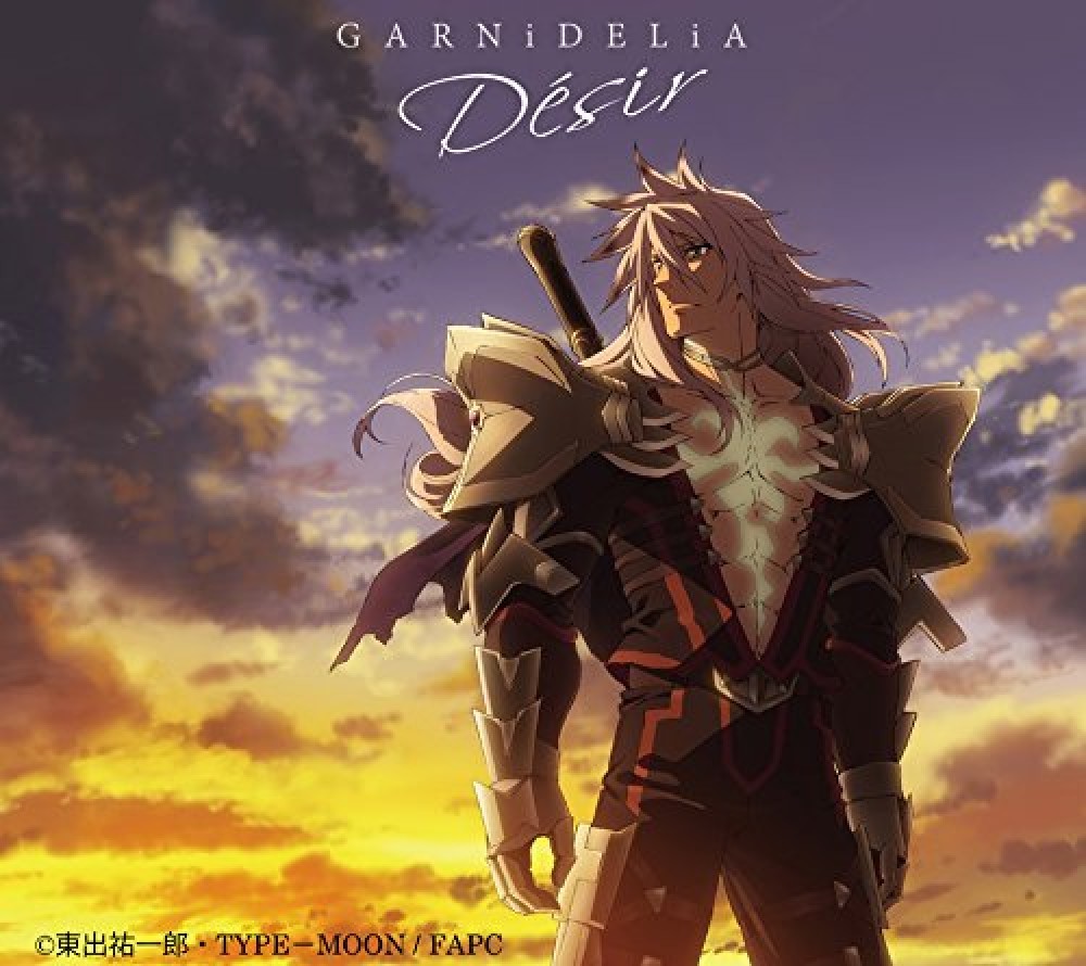 Desir GARNiDELiA Limited Edition Fateapocrypha CD DVD Japan