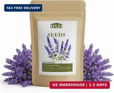 10,000 English Lavender Seeds for Planting Indoors or Outdoors, Flower Seeds for