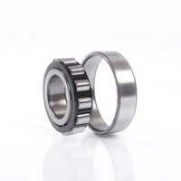 Skf Zylinderrollenlager 120X260X55 Mm N324 Ecp