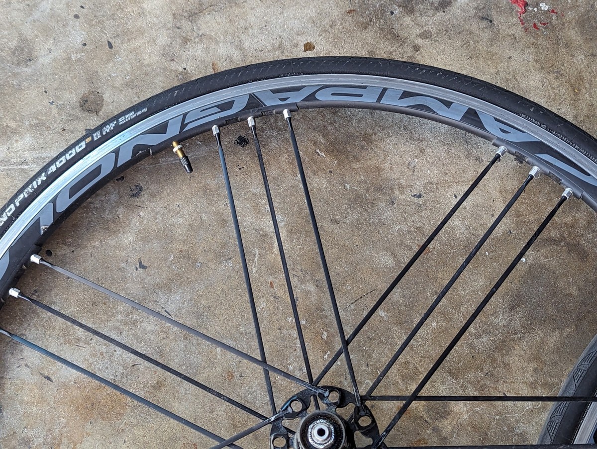 パーツ CAMPAGNOLO SHAMAL ULTRA DISC Campagnolo Shamal Ultra Disc Brake, 700c Road Wheelset, 2