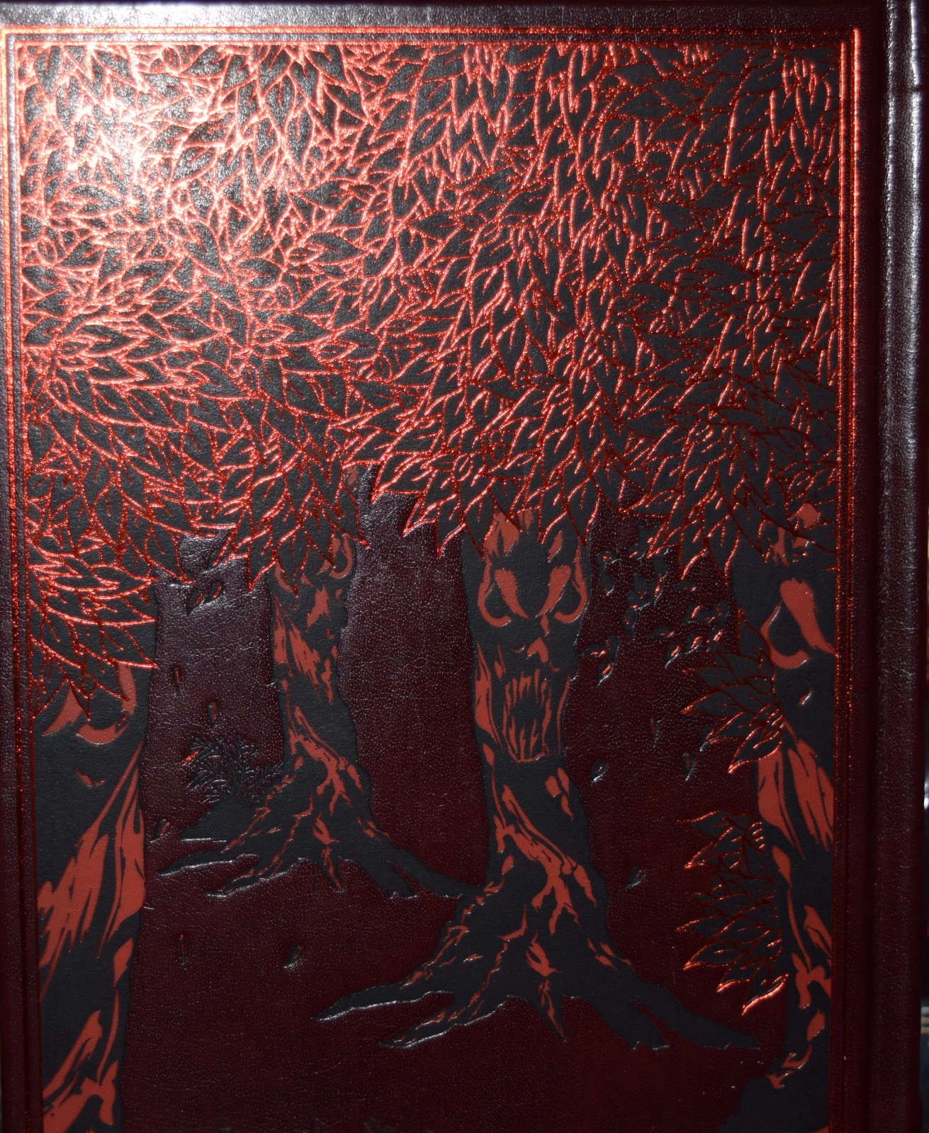 Picture 9 of 9