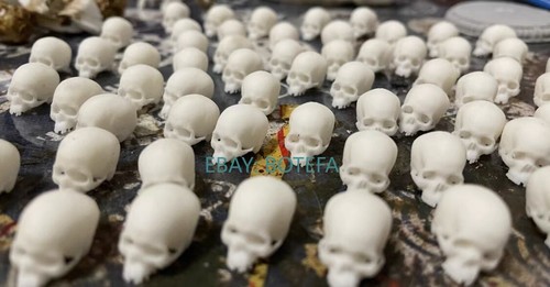 1/12 Human Skull Skeleton Model for6" Action Figure Accessory Scene Prop - Picture 4 of 14