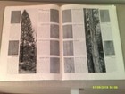 Bild 3 von 4