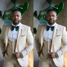 3 Pcs Men's Suits Wedding Groom Tuxedos Peak Lapel Prom Classical Blazers Vest