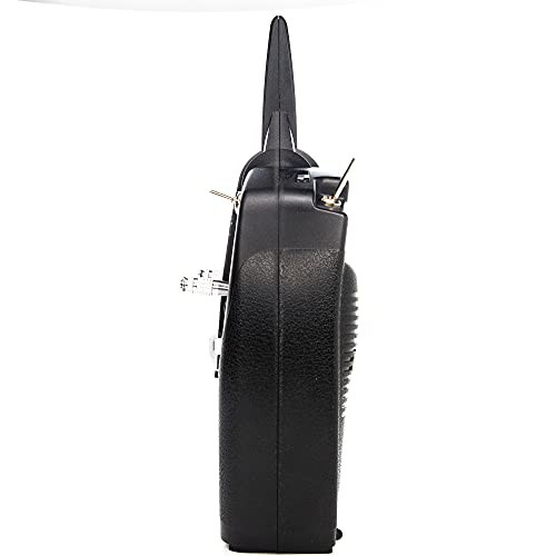  DXS Transmitter with AR410 Receiver, SPM1010 