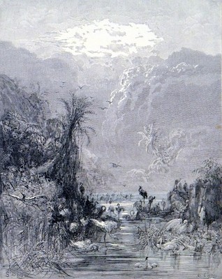 VOGELSCHÖPFUNG 1885 Gustave Doré * John Milton ANTIKER STICH