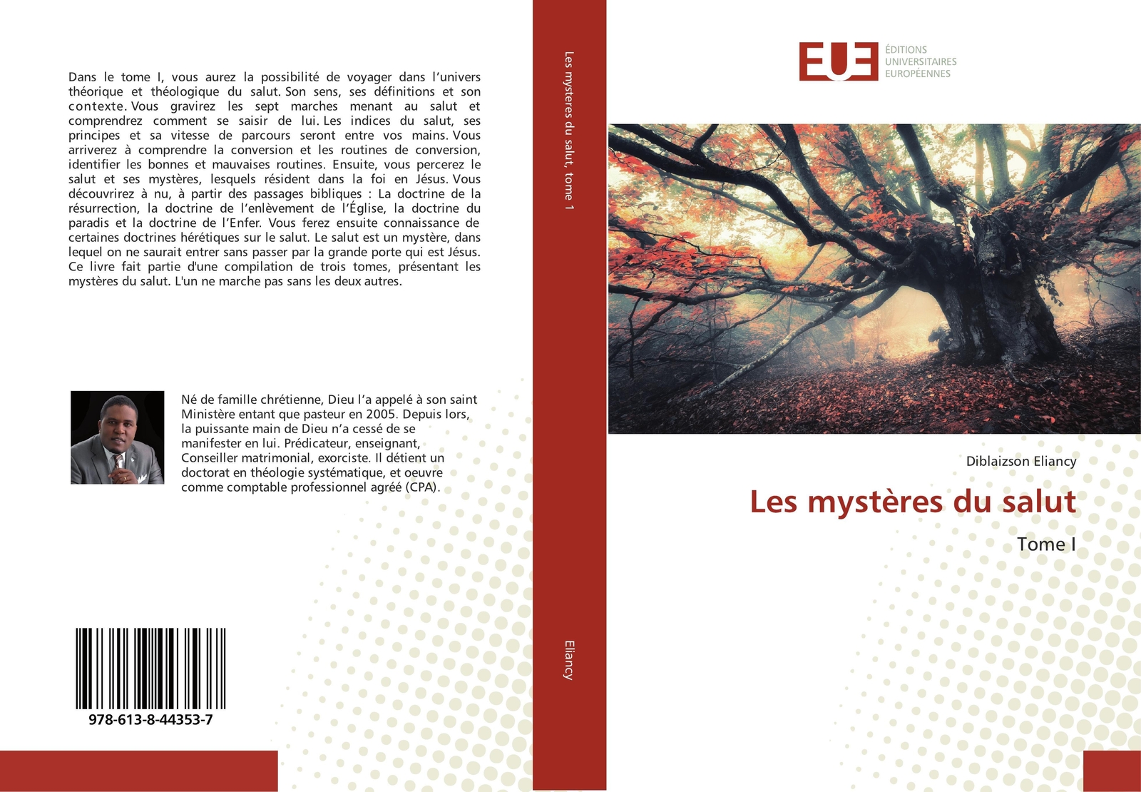 Thumbnail - Les Mystères Du Salut Tome I Diblaizson Eliancy Taschenbuch Paperback