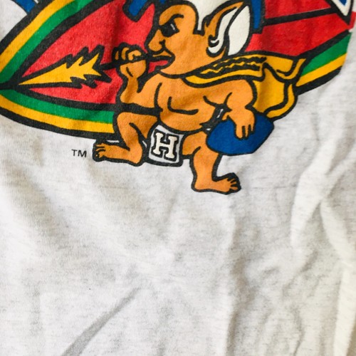 University of Hawaii Rainbow Warrior Vintage Oversized Nightgown Pajamas Size LG - Picture 2 of 10