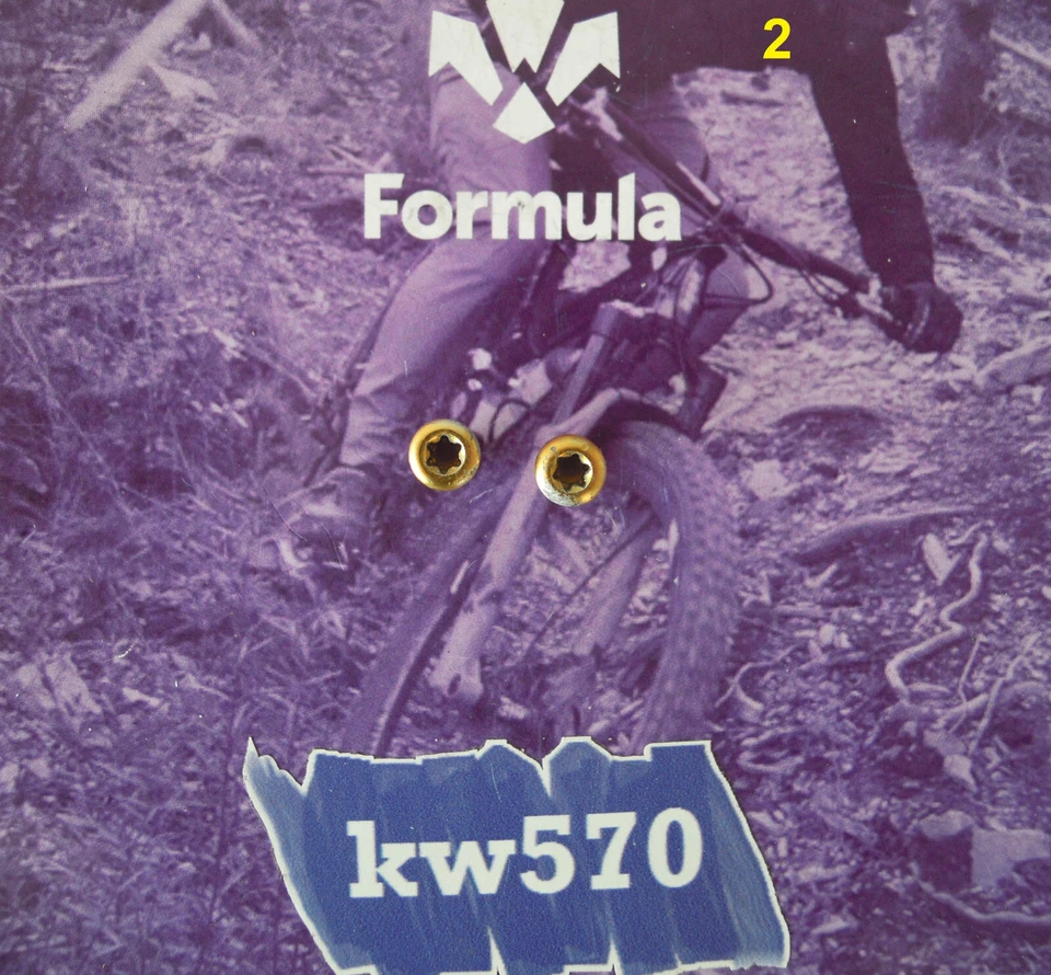 Formula - 2 Tornillos Originales ergal Oro / Tirilla/Tirilla R1/T1 FD-V121-05 - Imagen 2 de 2