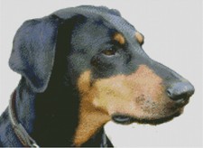 Cross Stitch Pattern, Doberman, Pinscher, Dog, Pet, Canine
