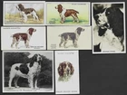 7 Different Vintage ENGLISH SPRINGER SPANIEL Tobacco/Cigarette Dog Cards
