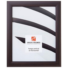 Craig Frames Contemporary Picture Frame, 14 x 16 Inch, Brazilian Walnut Brown