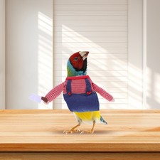 Vêtements D'oiseaux Mortels