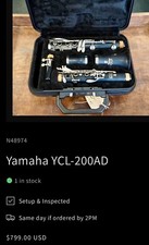 Glory Wood Clarinet With Hard Case
