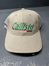 NEW Callisto Herbicide Syngenta One Size Adjustable Baseball Hat