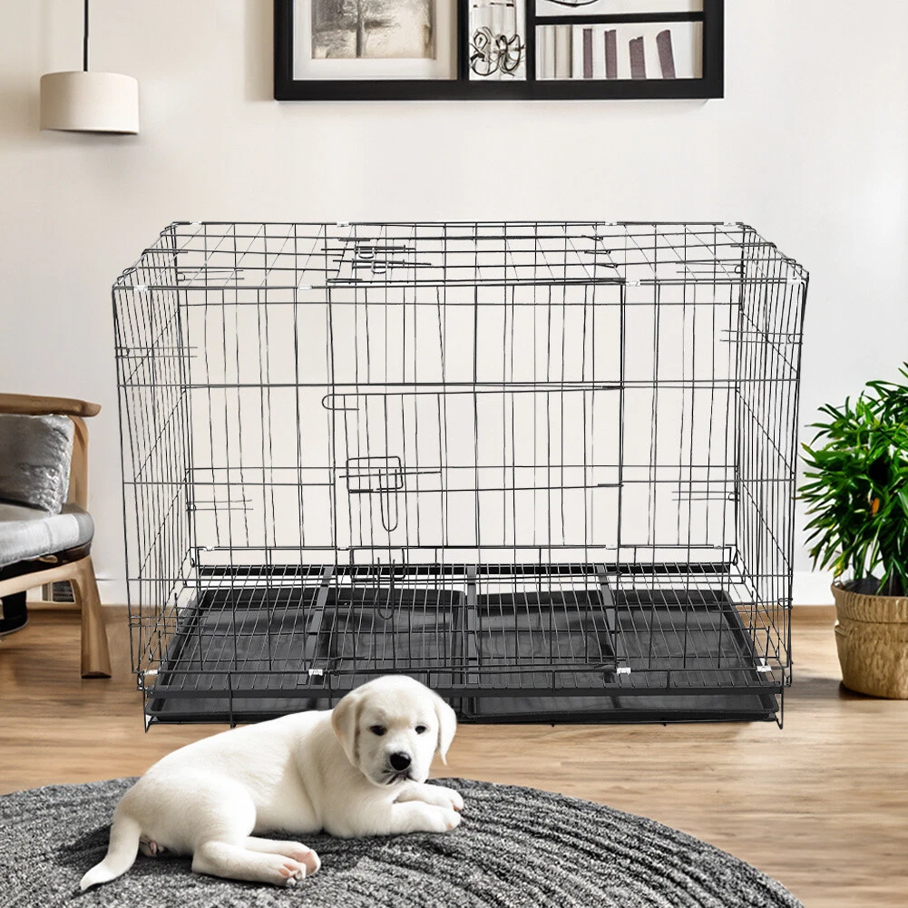 Free top dog cages