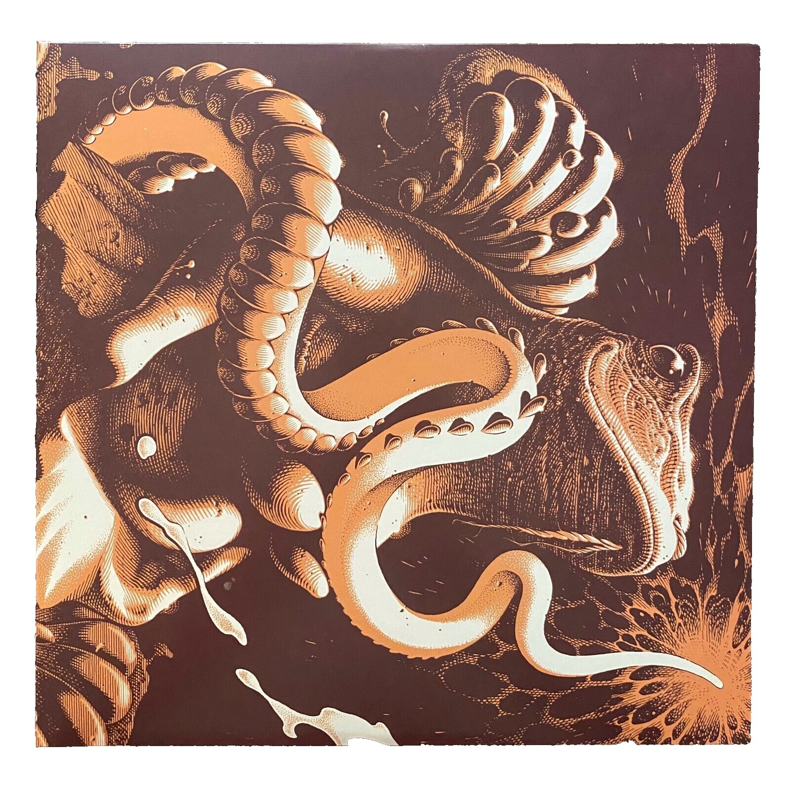 Boris Vinyl | eBay
