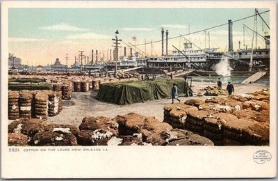 Vintage 1903 NEW ORLEANS, Louisiana Postcard ''COTTON ON THE LEVEE'' Detroit Pub.