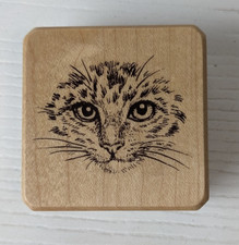 CAT KITTY FACE CLOSE UP REALISTIC RUBBER STAMP INKADINKADO 90917M CREAKYATTIC
