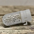 11.5 g .999 Fine Silver Shot in Blizzard Bullion Glass Vial - Fun Gift!