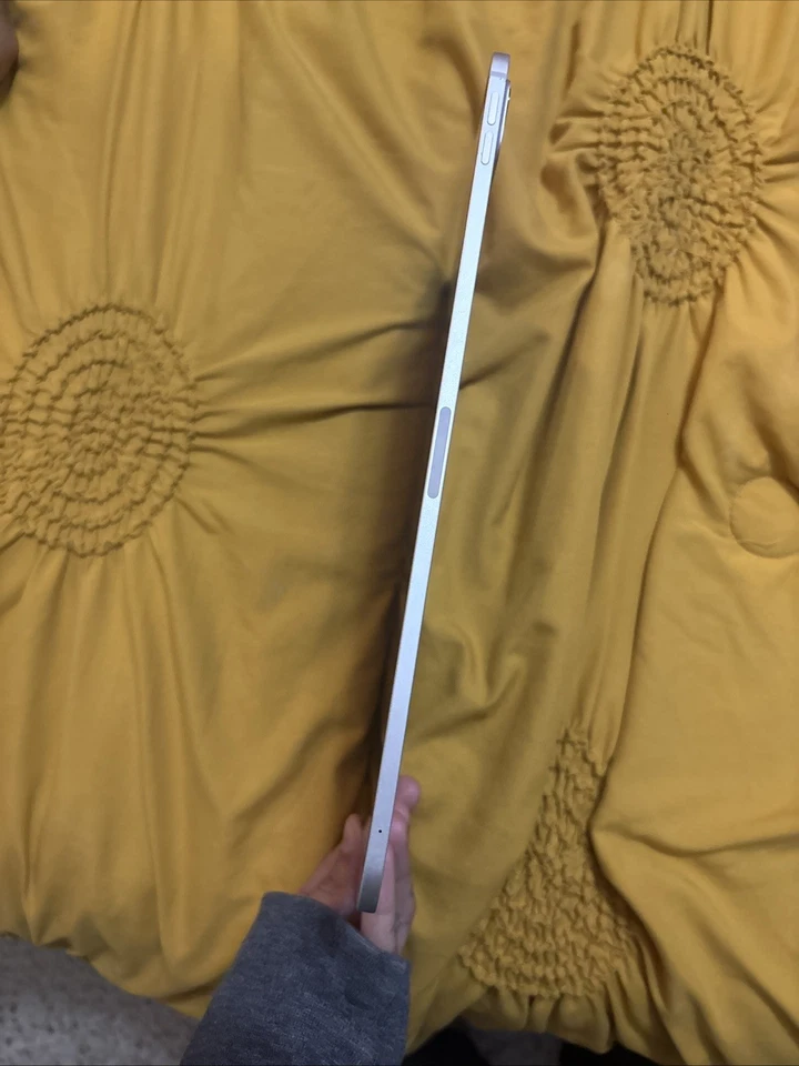 Apple iPad Pro 11" M4 5ta Generación Plateado WiFi 5G 256GB 100% Batería Vendo la pieza Foto 4 de 4