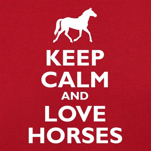 Keep Calm And Love Horses - Kids Hoodie / Sweater - Riding Racing Rider Horse - Picture 2 of 11